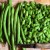 In what form and how to properly freeze green beans at home