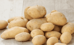 Young but promising German potato variety Krona: description and reviews