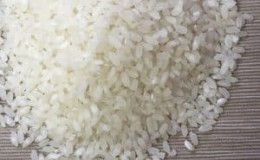 What is Baldo rice and what is it used for?