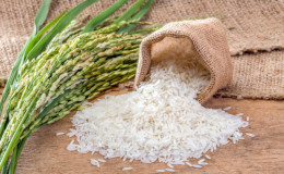 All about rice: what rice is and how it appeared, interesting facts about a plant from distant countries