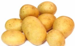 The ideal potato variety to purchase for the winter: Jelly