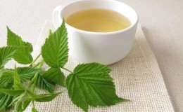 A decoction of raspberry leaves is a healthy tea.