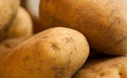 Beware, the dreaded gluten: is it in potatoes or not?
