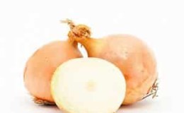 High-yielding onion hybrid for long-term storage Corrado