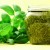 The best ways to preserve basil for the winter at home
