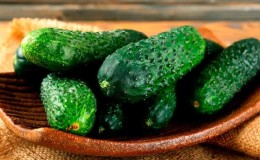 A hothouse hybrid with a beautiful name and a bountiful harvest - Emerald earrings cucumbers