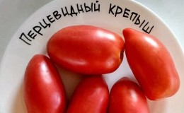 Try this unusual variety that will not leave you indifferent - the robust pepper tomato