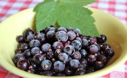 The best ways to freeze blackcurrants for the winter in the freezer