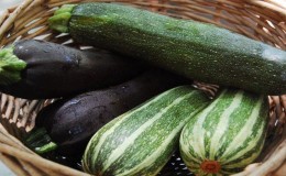 What and how to store zucchini for a long time - creating ideal conditions