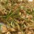 How to sprout oats at home for food: step-by-step instructions