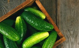 The benefits and harms of cucumbers for women’s health and methods of their use