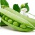Biological features of peas that are better to know
