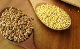 What is the difference between millet and wheat and how to use them in cooking