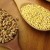 What is the difference between millet and wheat and how to use them in cooking