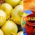 Does turnip with honey help with cough and how to use this medicine correctly