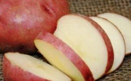 High-yielding potato variety Roko, ideal for boiling and baking