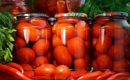 How to cook salted tomatoes tasty and simple: use the best recipes from experienced housewives