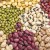 Varieties and varieties of beans: faba (garden), ornamental, large-fruited vegetable, fodder