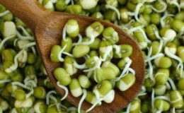 A practical guide on the topic How to germinate peas from experienced gardeners