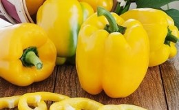 The benefits and harms of yellow bell peppers and is there a difference between the colors of the vegetable?