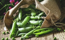 What are the benefits and harms of peas for humans?