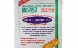 Instructions for use of phytosporin for cucumbers