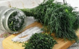 How to pickle dill in jars for the winter: simple recipes from experienced housewives