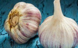We study the problem thoroughly: garlic turns yellow in the spring - what to do and how to prevent it