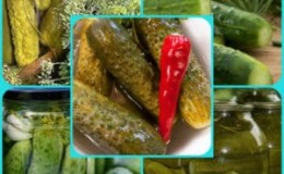 Why pickled cucumbers shriveled and how to make preparations correctly to avoid this