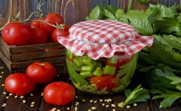 Amazing-tasting recipes for tomatoes and celery for the winter