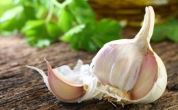 How, when and what to feed garlic after winter - advice from experienced gardeners for getting a rich harvest