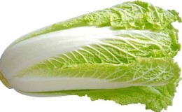 How many calories are in Chinese cabbage and what are its benefits?