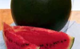 An early ripening sweet watermelon variety Ogonyok is resistant to diseases and unpretentious in care