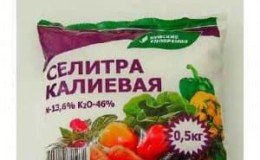 How is potassium nitrate useful for cucumbers during the fruiting period and how to use it correctly