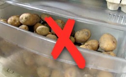 How to store potatoes in the refrigerator and is it possible to do so?
