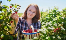 The effect of raspberries on a woman’s body: how it is useful and in what cases it is harmful
