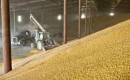 Terms, rules and methods of storing wheat on an industrial scale and at home