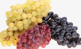 Table, technical, autochthonous Georgian grape varieties