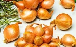Varieties of onion varieties Family and their characteristics