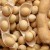 Soybeans - what are they and what do they look like?
