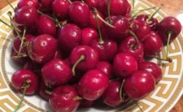 Recommendations on how to store fresh and processed cherries at home