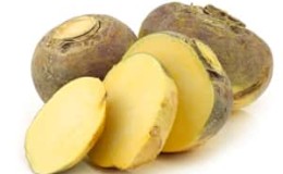 What is rutabaga, how does it grow, what is it useful for and where is it used?