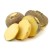 What is rutabaga, how does it grow, what is it useful for and where is it used?