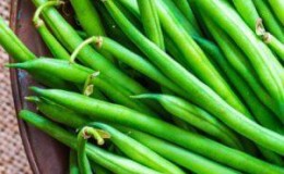 What is the difference between green beans and green beans: photos of legumes and the difference between them