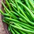 What is the difference between green beans and green beans: photos of legumes and the difference between them