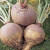 Useful properties and contraindications of rutabaga: how to use the root vegetable in cooking, cosmetology and folk medicine