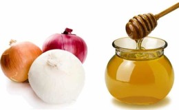 How to properly prepare and use onions with honey for coughs