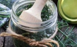 The best recipes for dill preparations for the winter