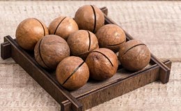 Beneficial properties of macadamia nut for men and rules for its use