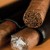 Varieties and characteristics of tobacco varieties